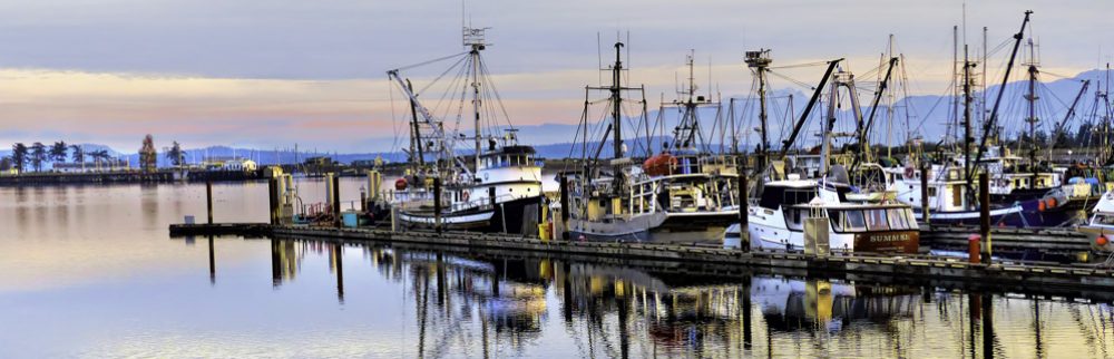 Comox valley